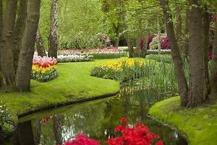 Akzent Haus Surendorff